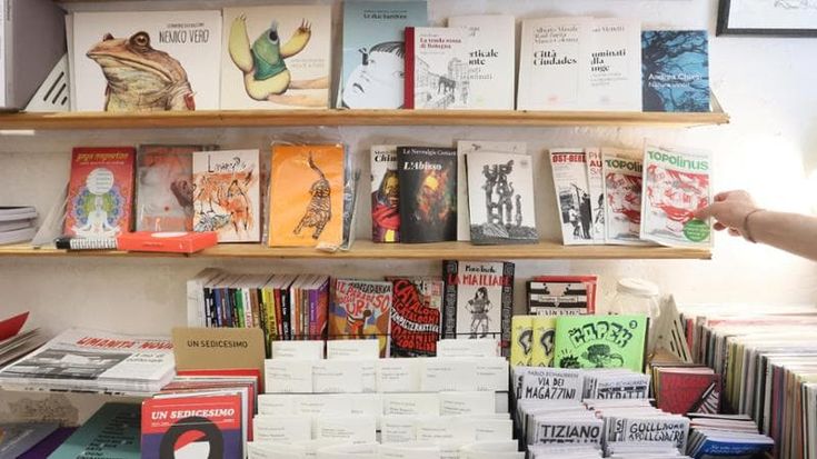 Bookshops’ resilience: they are not closing, but eight out of ten local authorities have none