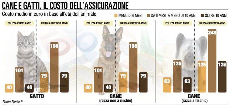 Cani e gatti, per le assicurazioni è un business da 532 milioni 