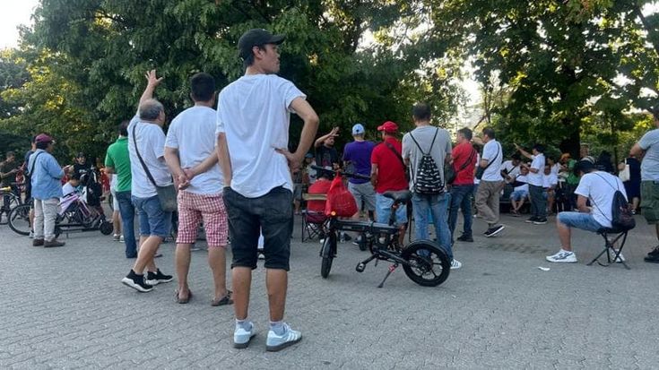 Martesana, all’ora dell’aperitivo si scommette sulla lotta dei galli. E il municipio protesta