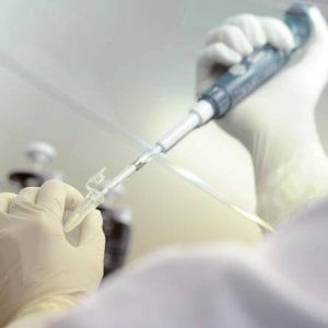 "Meno fertili i figli maschi della provetta" 