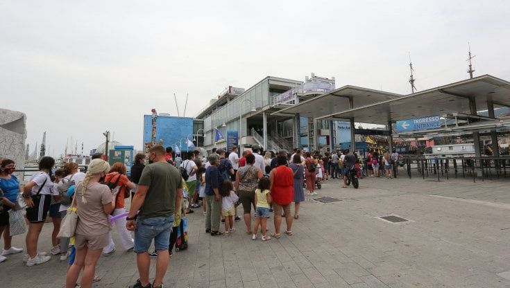 Si intensificano i segnali di ripartenza: balza la fiducia di consumatori e imprese a giugno