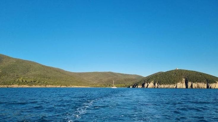 Cane muore nell’area protetta di Cala di Forno, il Parco della Maremma avvia accertamenti