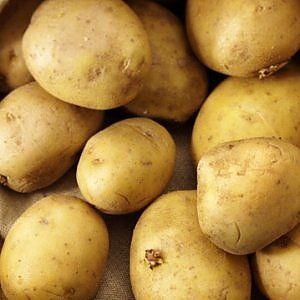 Leonessa ruggisce ancora con la Sagra della Patata