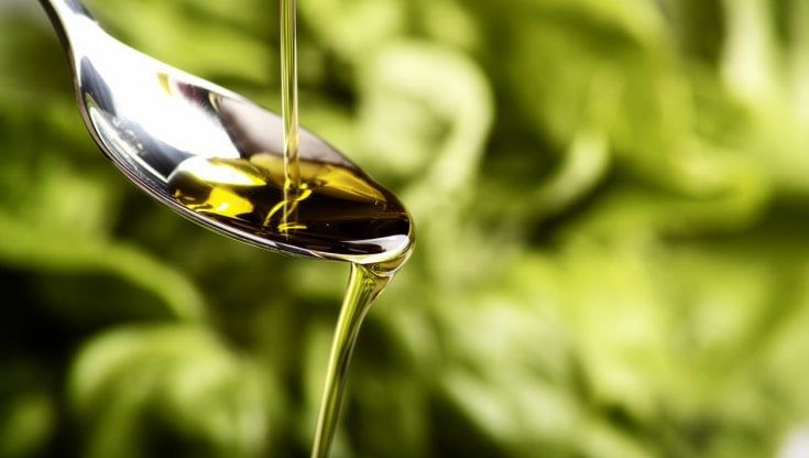 Olio, stime nazionali confermate: 315mila tonnellate e +15% rispetto allo scorso anno