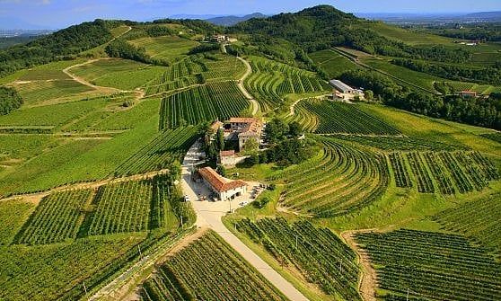 "Una foresta per valorizzare i nostri asset a lungo periodo"