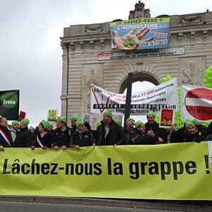 Lo Champagne va alla guerra"Troppe tasse sulle bollicine"