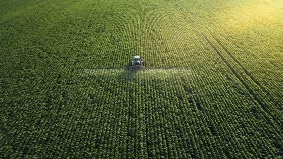 Ismea vara misure per la salvaguardia delle imprese 