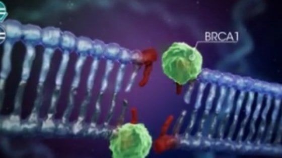 Tumore all’ovaio, un farmaco allunga il tempo libero da malattia