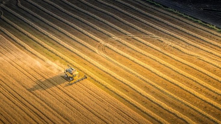 Agricoltura: in Italia +3% il valore della produzione, ma i volumi calano del 2%