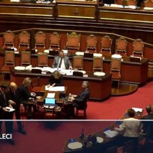 Maria Cecilia Guerra: "Per galleggiare truccano anche le missioni di Forza Italia" 