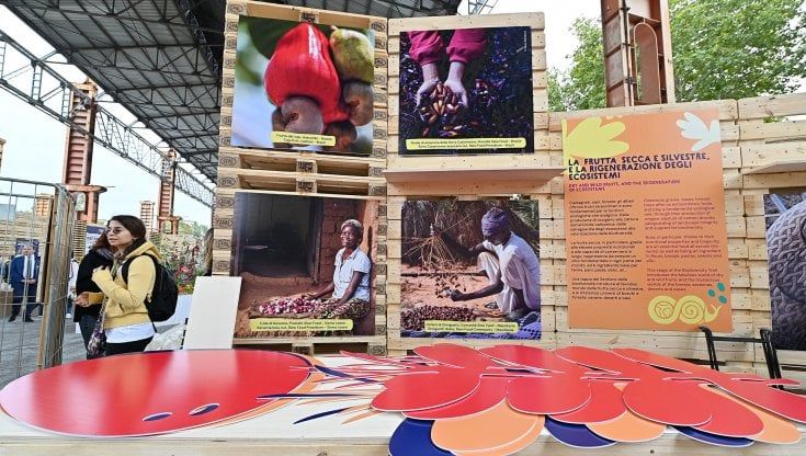 Salone del Gusto: dal caffè del mattino alla cena. Come orientarsi a Parco Dora tra leccornie e grandi incontri