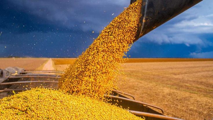 Materie prime, da riso e frumento a cobalto e nickel: cosa cambia con i prezzi alle stelle