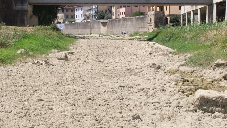 Agricoltura piegata dalla siccità: “A rischio il 30-40% dei raccolti”