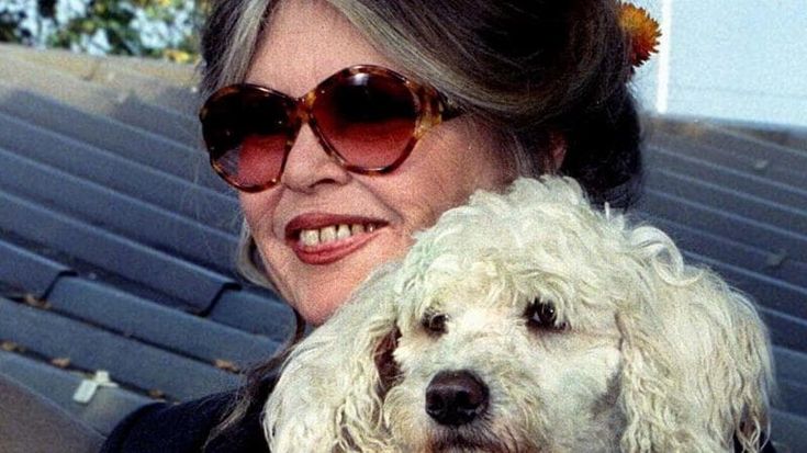L'ultimo messaggio di Brigitte Bardot il primo dicembre: "Sto guarendo"
