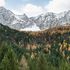 Neanche le foreste d’alta quota sono più al riparo dai cambiamenti climatici