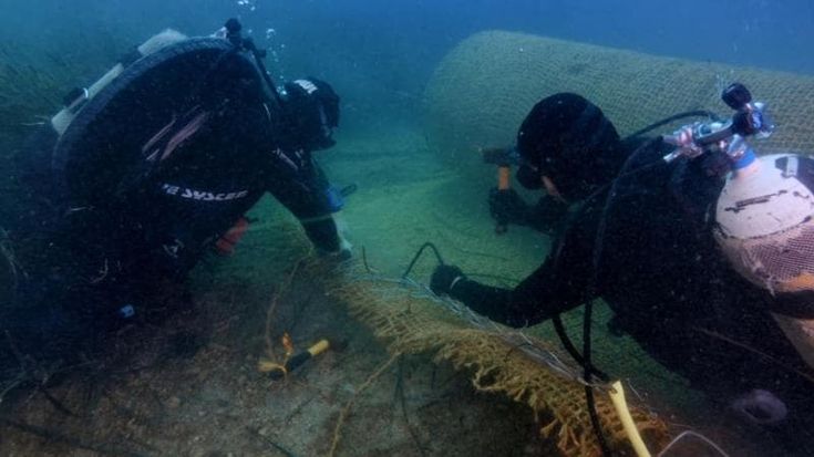 Baia di Ieranto, trapiantate duemila talee di Posidonia per ripristinare i fondali danneggiati