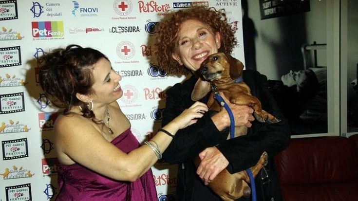 Pet Carpet Film Festival, a Roma fine settimana di cortometraggi dedicato agli animali