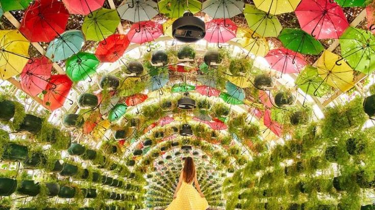 Io viaggio da sola o con le amiche. Ecco le mete dove festeggiare la “festa della donna”
