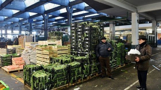 Verdura mai così cara: il gelo dai campi alla tavola