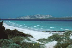 Un'oasi in mezzo al mare