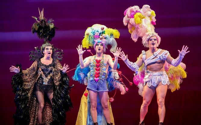 Al Teatro Verdi di Firenze le avventure di Priscilla, la regina del deserto 