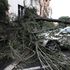 Maltempo: un morto nel Bresciano, alberi caduti e allagamenti a Milano