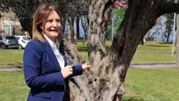 Monaldi, un ulivo per Domenico. Iervolino: “Un pensiero a famiglia e a medici travolti da tragedia”