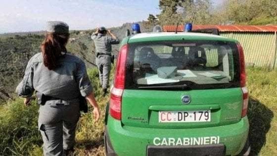 San Tammaro: carabinieri sequestrano terreno utilizzato per lo sversamento illecito di liquami