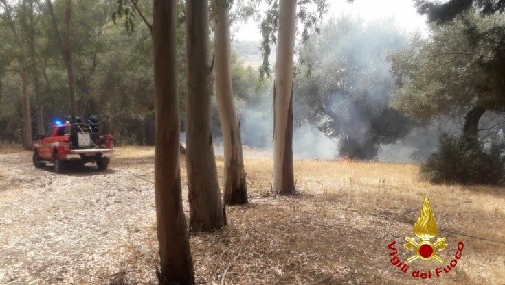 L'incendio doloso all'Oasi del Simeto, inquirenti in cerca delle mani criminali