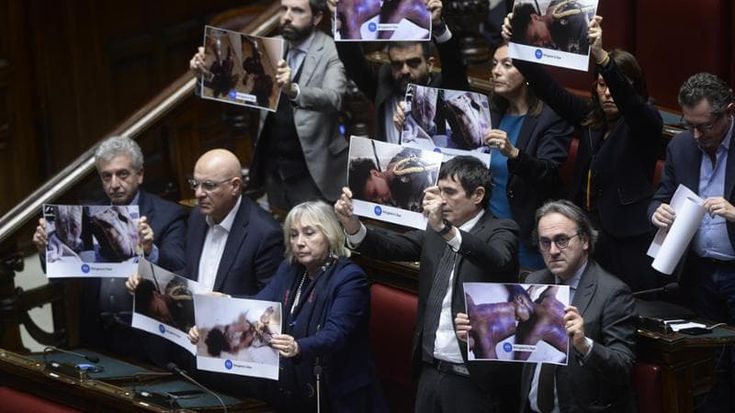 Schlein attacca Meloni “presidente del Coniglio”. Fratoianni mostra le foto delle vittime di Almasri