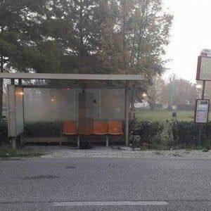 Indagato un pastore per il lupo ucciso e appeso alla fermata del bus a Rimini