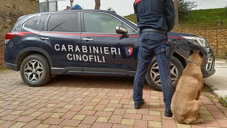 Spacciavano dagli arresti domiciliari: scoperti dai carabinieri, restano detenuti a casa