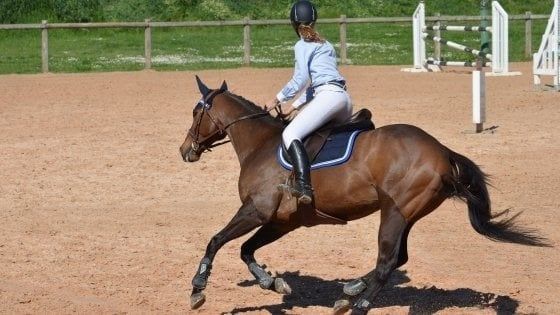 Equitazione: il ministero dei trasporti e il Viminale aprono un tavolo di confronto con Fise e Fitetrec 