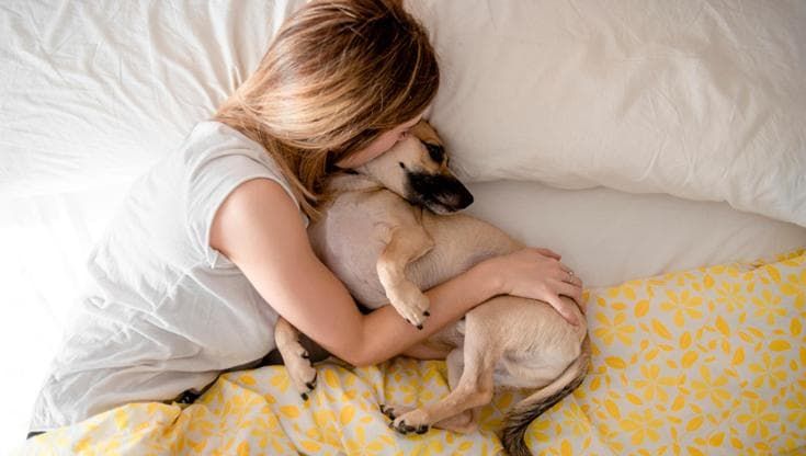 Sonno, come cambia se portiamo il cane nel letto