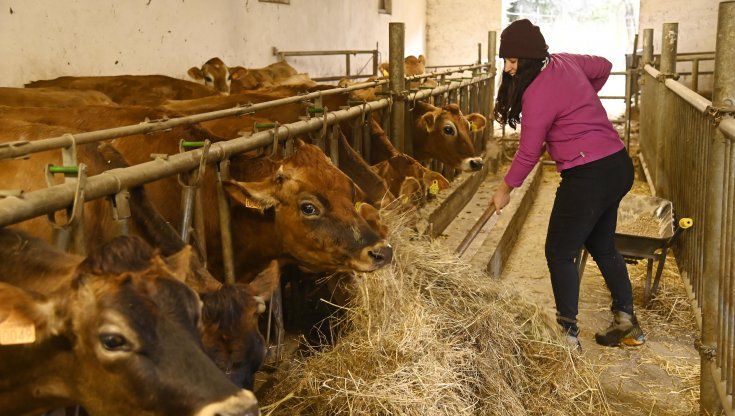 Lo yogurt tutto al femminile nasce nella Valle Arroscia