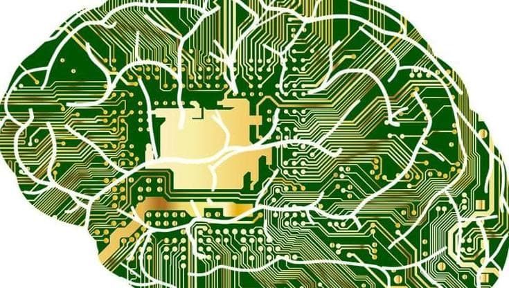 Ecco in che modo il nostro cervello prende una decisione