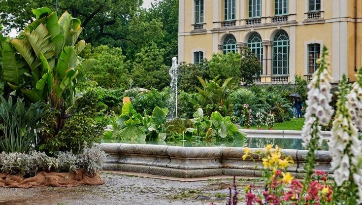 Milano, crisantemi, viole e astri: quest'anno Orticola ha i colori dell'autunno