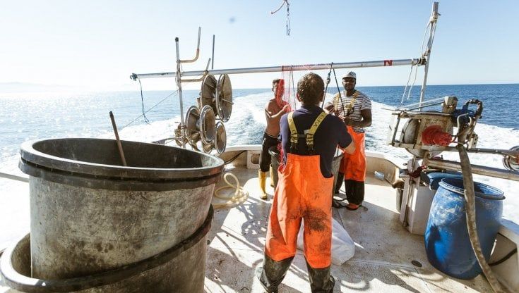 Ogyre, nasce la startup che recupera la plastica in mare grazie ai pescatori e la usa per creare costumi da bagno