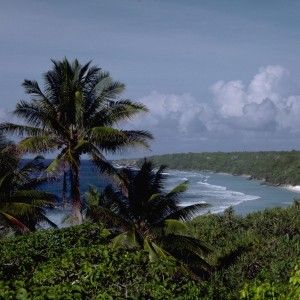 &ldquo;Chiudiamo Pitcairn&rdquo;.  Londra rivuole a casa i discendenti del Bounty