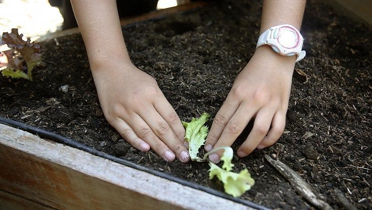 Biodiversità, perché è un valore