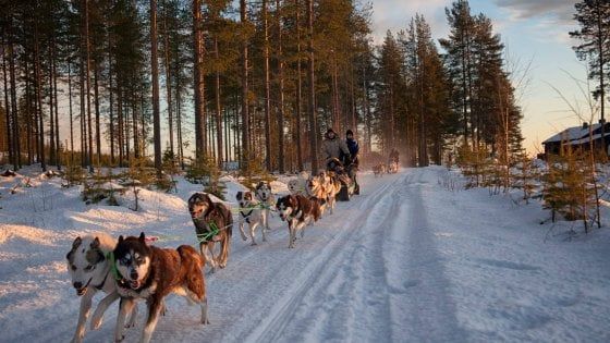 Nella Lapponia svedese si incontra Santa Claus