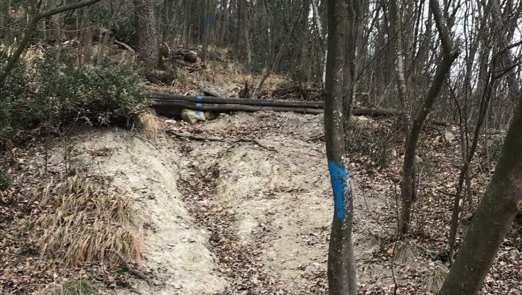 Al parco Talon in mountain bike, la denuncia: "Corse folli, un pericolo per tutti"