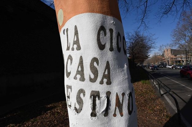 La street art anti mozziconi sugli alberi di Torino