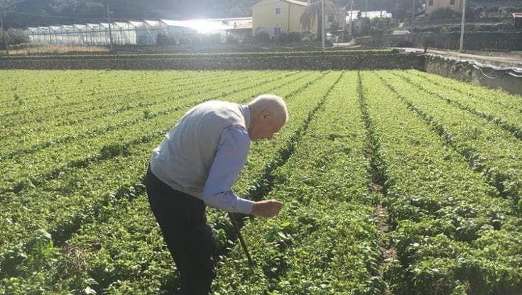 Addio all’uomo che salvò il pesto