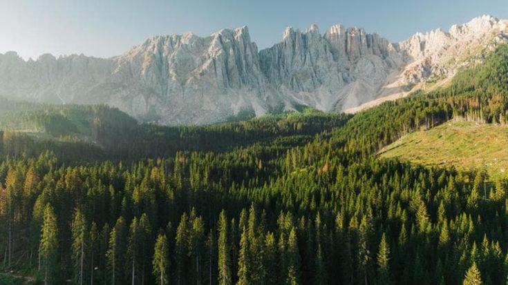 Tutela della biodiversità, impreparato il 56% degli italiani