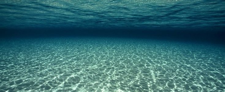 Il Wwf: solo l'1,67% del Mar Mediterraneo viene realmente tutelato