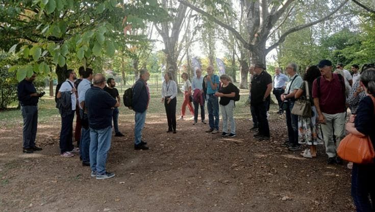 Il campeggio di via Romita si allarga, via 71 alberi: “Erano malati, ne piantiamo 238”