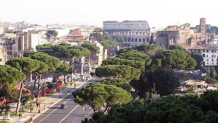 Domenica ecologica il 19 novembre: blocco del traffico in fascia verde. Ecco quando e chi può circolare. Eventi ai Fori imperiali