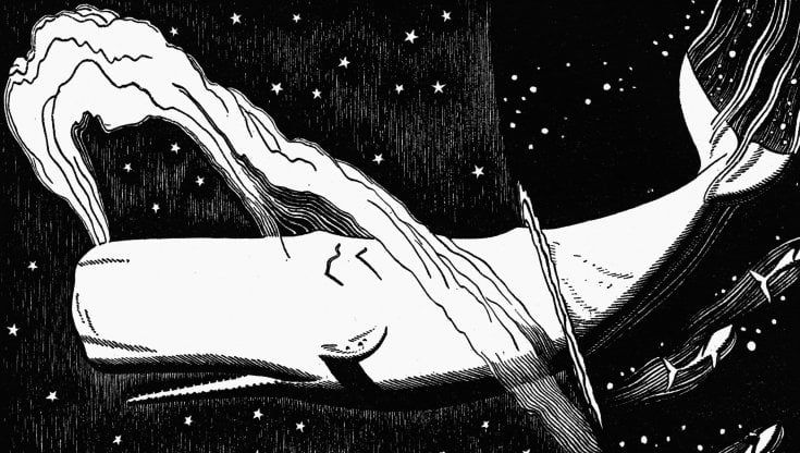 Melville. Maledetta fu la balena