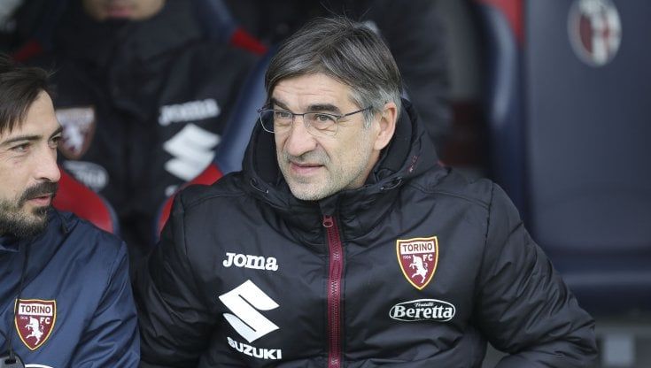 Torino, Juric: "Avremmo meritato di più"